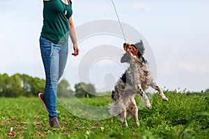 Woman plays with her dog with a flirt tool