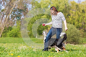 Woman plays with two dogs on the meadow