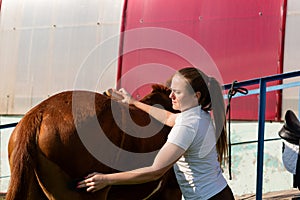 Woman polishing horse at sunset