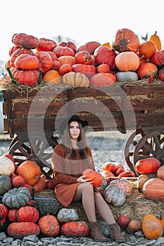 Woman posing with pumpkin in hands near wagon with orange pumpkin on farmers market in brown sweater, dress and hat. Cozy autumn