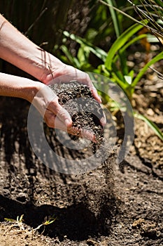 Woman pouring soil in garden