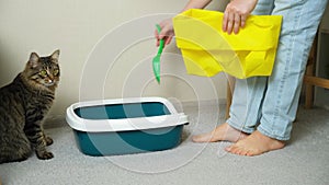 A woman pours bentonite clumping clay litter into the cat toilet, the cat watches