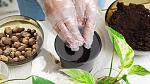 a woman pours drainage stones and soils into pots to houseplant sprouts.