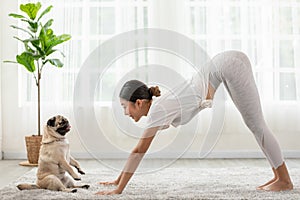 Woman practice yoga Downward Facing dog or yoga Adho Mukha Svanasana pose to meditation and kissing her dog pug breed enjoy and