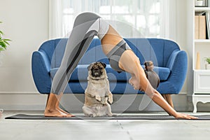 Woman practice yoga Downward Facing dog or yoga Adho Mukha Svanasana pose to meditation and kissing her dog pug breed enjoy and