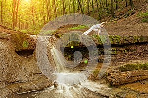 Woman practices yoga in nature, the waterfall. Urdhva phanurasana pose