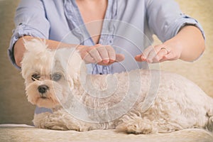 Woman practicing reiki therapy