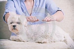 Woman practicing reiki therapy photo