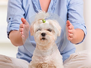 Woman practicing reiki therapy