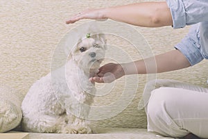 Woman practicing reiki therapy photo