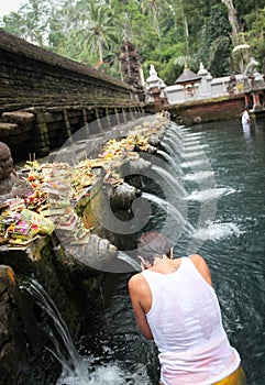 Woman in prayer she wets her head in holy water at Pura Tirta Em