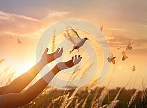 Woman praying and free bird enjoying nature on sunset background