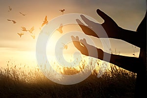 Woman praying and free bird enjoying nature on sunset background