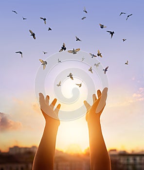 Woman praying and free bird enjoying nature on sunset background