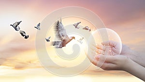 Woman praying free the birds flying and circle on sunset background, hope concept