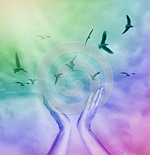 Woman praying and free the birds flying on sunset background. Hope concept