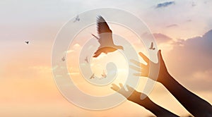 Woman praying and free the birds flying on sunset background photo