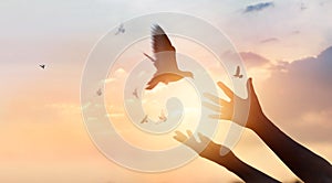 Woman praying and free the birds flying on sunset background