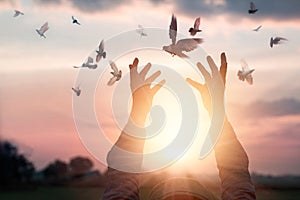 Woman praying and free the birds to nature on sunset background