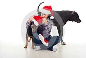 Woman prepare dogs for Christmas photo