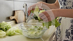 Woman prepared fresh vegetarian salad