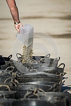 Woman prepares food for horses