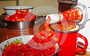 A woman prepares fresh healthy juice from tomatoes. Juicer at work. Diet concept for a healthy lifestyle