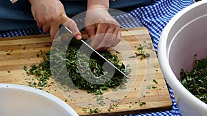 A woman prepares madimak meal, yozgat turkey madimak plant phytonutrients