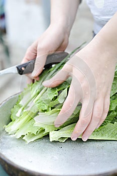 Woman preparing a green salad.