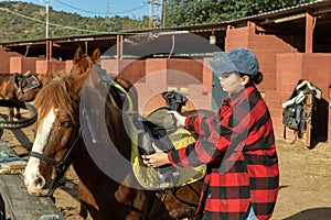 Woman preparing horse for walk - putting on a saddle and bridle