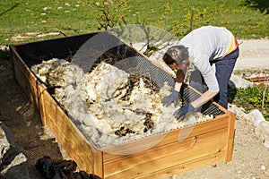 Woman preparing layers in a new raised garden bed: raw wool, branches and logs