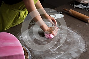 Woman preparing pink fondant for cake decorating, hands detail