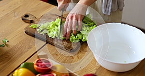 Woman is preparing vegetable salad in the kitchen, cutting leaf of salad