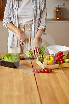 Woman is preparing vegetable salad in the kitchen, cutting leaf of salad