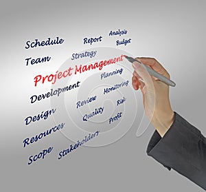 Project management