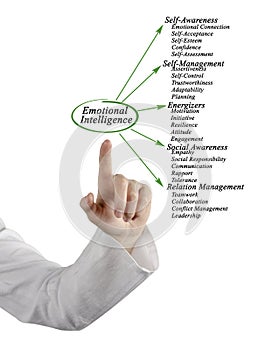 Emotional intelligence Domains photo