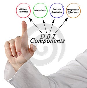 Presenting Four Components of DBT