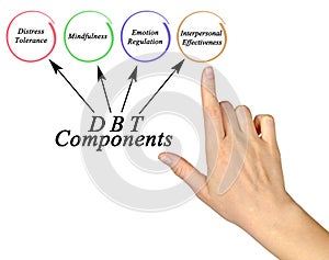 Presenting Four Components of DBT