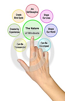 Nature of Mindsets