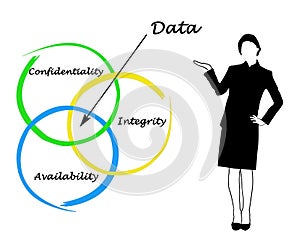 Principios de datos gestión 