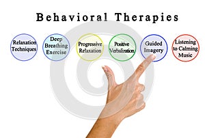 Presenting Six Behavioral Therapies photo
