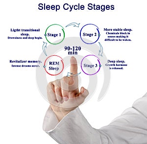 Presenting Sleep Cycle Stages