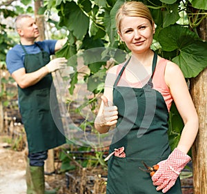Woman professional gardener in apron in greenhouse