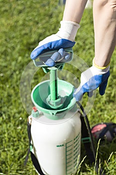 The woman in protective gloves pumps the spray in the sprayer.