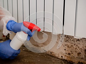 A woman in a protective suit and a respirator sprays a special antifungal spray on the mold-infested wall under the