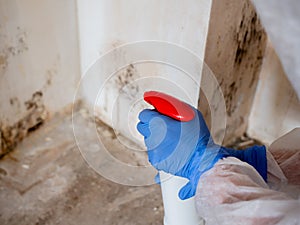 A woman in a protective suit sprays the walls of an apartment with a chemical agent to remove mold.