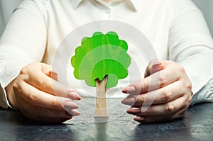 Woman protects a miniature green tree. Saving the environment and protecting forests from deforestation and extinction. Forest