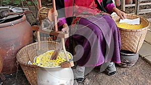 Woman pulling silk from cocoons silkworm