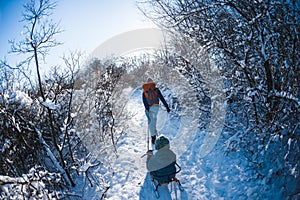 A woman pulls a sled with a child