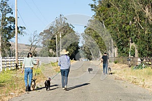 Woman with Purple Hair and Man Walking Goats on Country Road